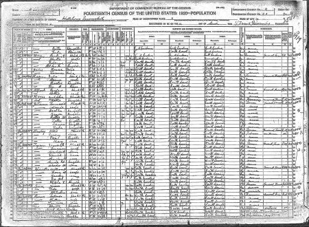 annine b tyner 1920 census